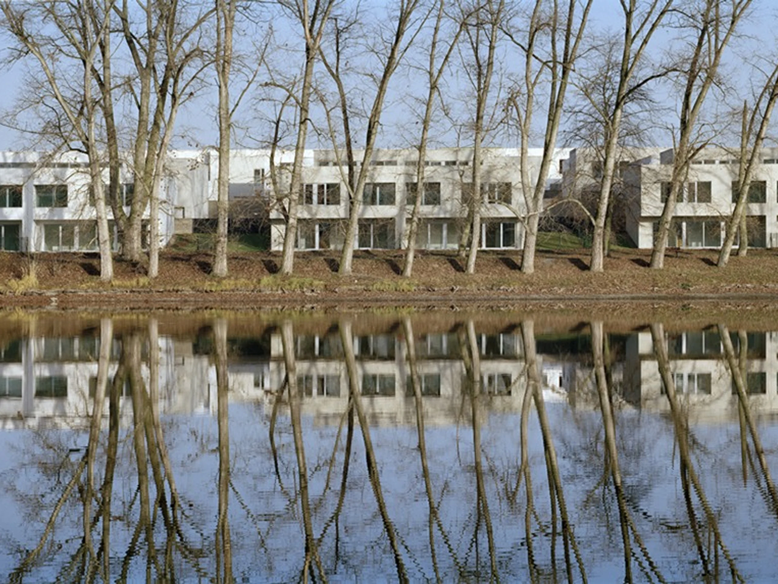 English image caption 1