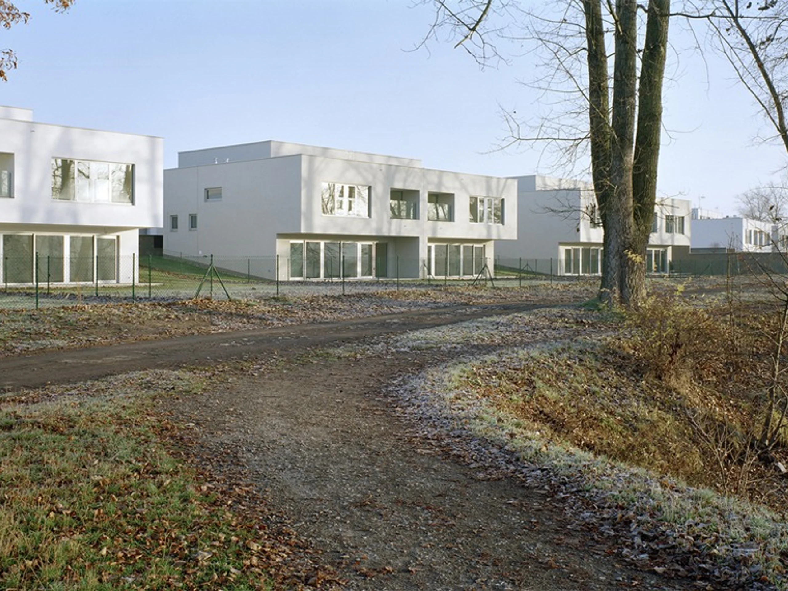 English image caption 2