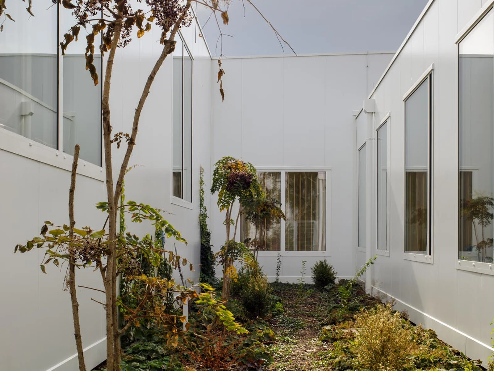 English image caption 5